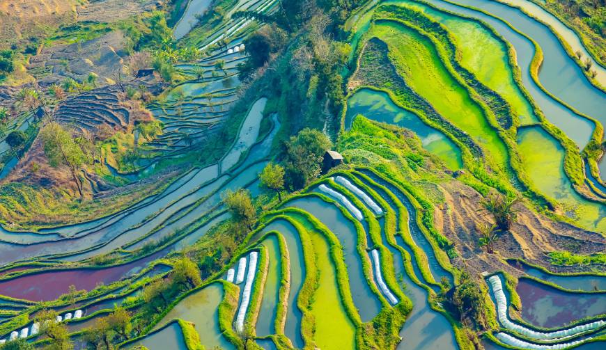 走进江南区TVC拍摄：解锁本地化场景与创意镜头的完美融合